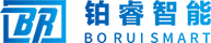 Shenzhen Borui Smart Control Co., Ltd.